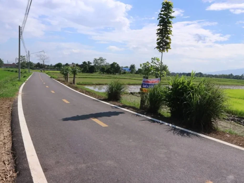 ขายที่นาดอยสะเก็ต ห่างถนนหลัก 1 km ตลาดขวัญ