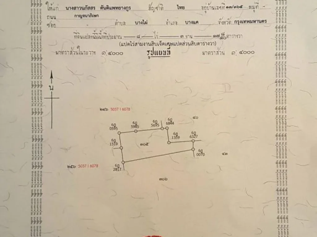 ขายที่ดิน3แปลง ใกล้คลองขุดใหม่ อยุธยา