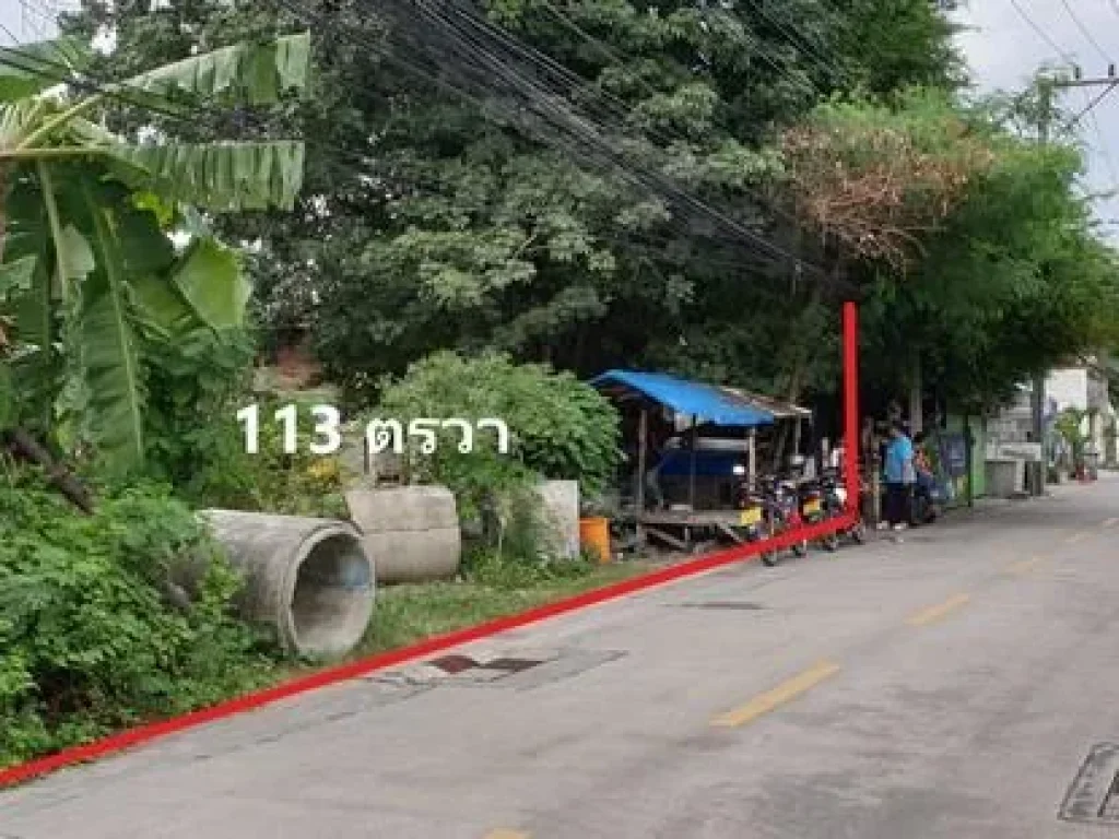 ขายที่ดิน 113ตรวา ซอยสุขุมวิท 971 ใกล้ Bts บางจาก