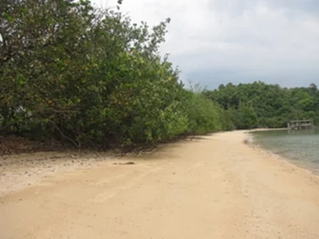 ขายถูก ที่ดินมีโฉนด ริมทะเลติดชายหาดส่วนตัว เหมาะสร้างรีสอร์ทหรือโรงแรม บนเกาะยาวน้อย จพังงา เนื้อที่ 8 ไร่