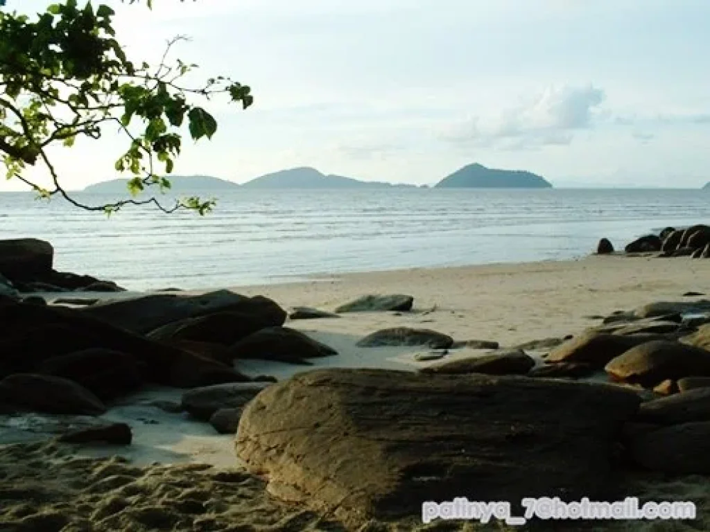 ด่วนสุดๆ ขายหรือให้เช่า ที่ดินสวยติดทะเลอันดามัน จระนอง Beach Front Land for sale and rent