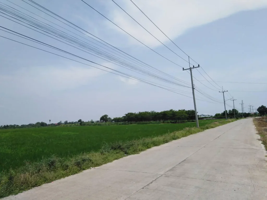 ขายที่ดินทำเลดีมาก ติดทางรถไฟสายเหนือ และ หลัง มธรรมศาสตร์รังสิต