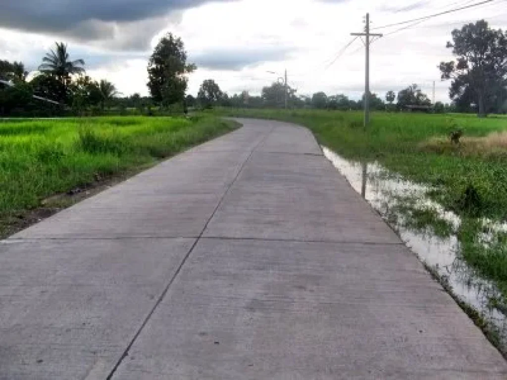 ขายที่ดินในสุรินทร์ ห่างจากตัวเมือง 3 km ติดถนนคอนกรีตถมแล้วบางส่วน เหมาะมากสำหรับท่านที่ต้องการที่ดินในวัยเกษียณ id311ติดต่อ0831000104 ต่าย