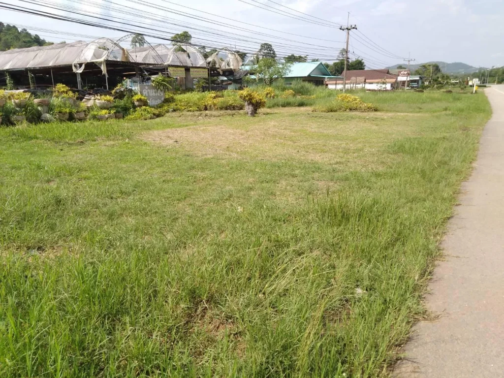 ขายที่ดิน 2 ไร่ติดทางหลวงเขตเทศบาลภูเรือเหมาะกับธุรกิจ บ้านพักตากอากาศ