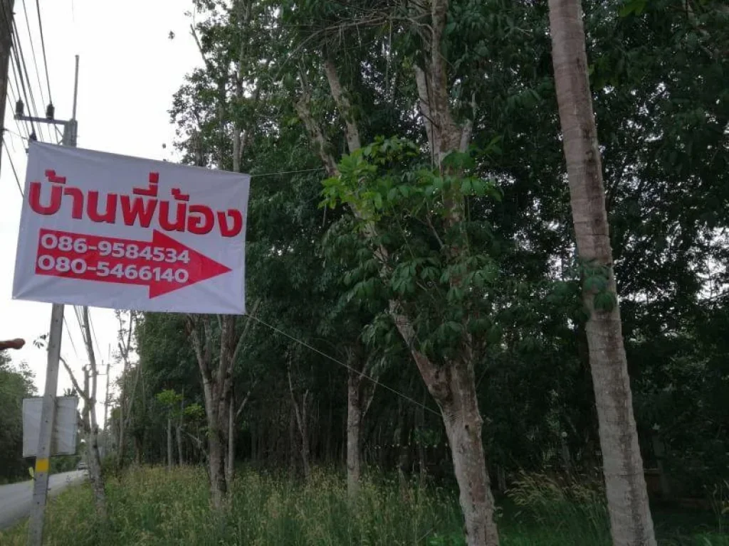 ท่าข้าม หาดใหญ่ เมืองใหม่ ใกล้ชิดธรรมชาติ