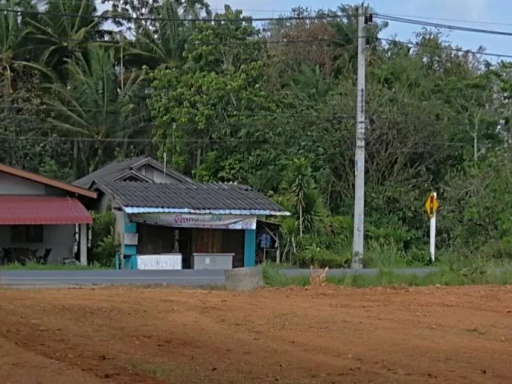 ขายที่ดิน 1 ไร่ ติดสายหลัก ใกล้ ร้านสถานีท่าข้าม