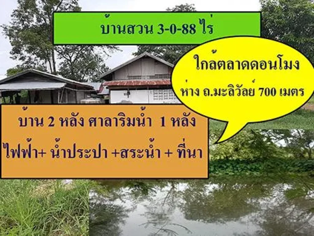 ขายที่พร้อมบ้านสวน ดอนโมง ติดลำห้วย มีสระน้ำข้างบ้าน เนื้อที่ 3 ไร่ 88 ตรว