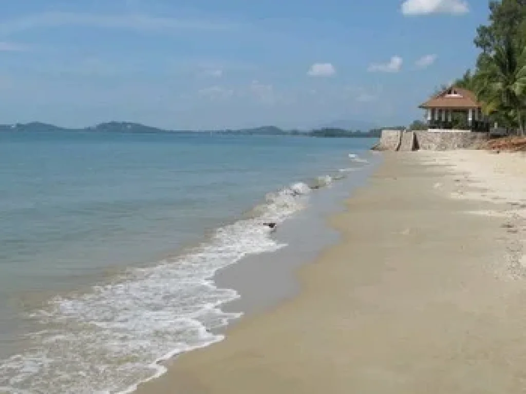 ขายที่ดินติดชายทะเลหาดแม่พิมพ์-หาดชมตะวัน อำเภอแกลง หาดทรายขาว-น้ำใส