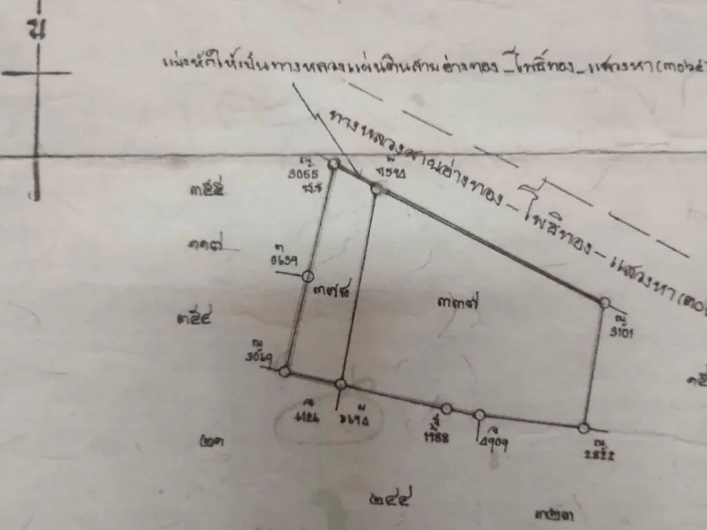 ที่ดินติดถนนราคาถูก