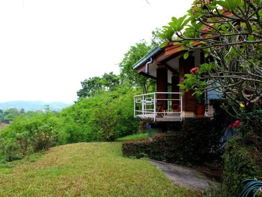 ให้เช่าบ้านสวยบนเนินเขา เชียงราย Chiang Rai House for Rent5721