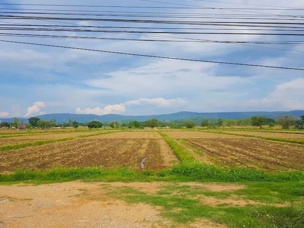 ขายที่ดิน 20 ไร่ติดถนนพหลโยธินในเชียงราย Chiang Rai Land for sale6176