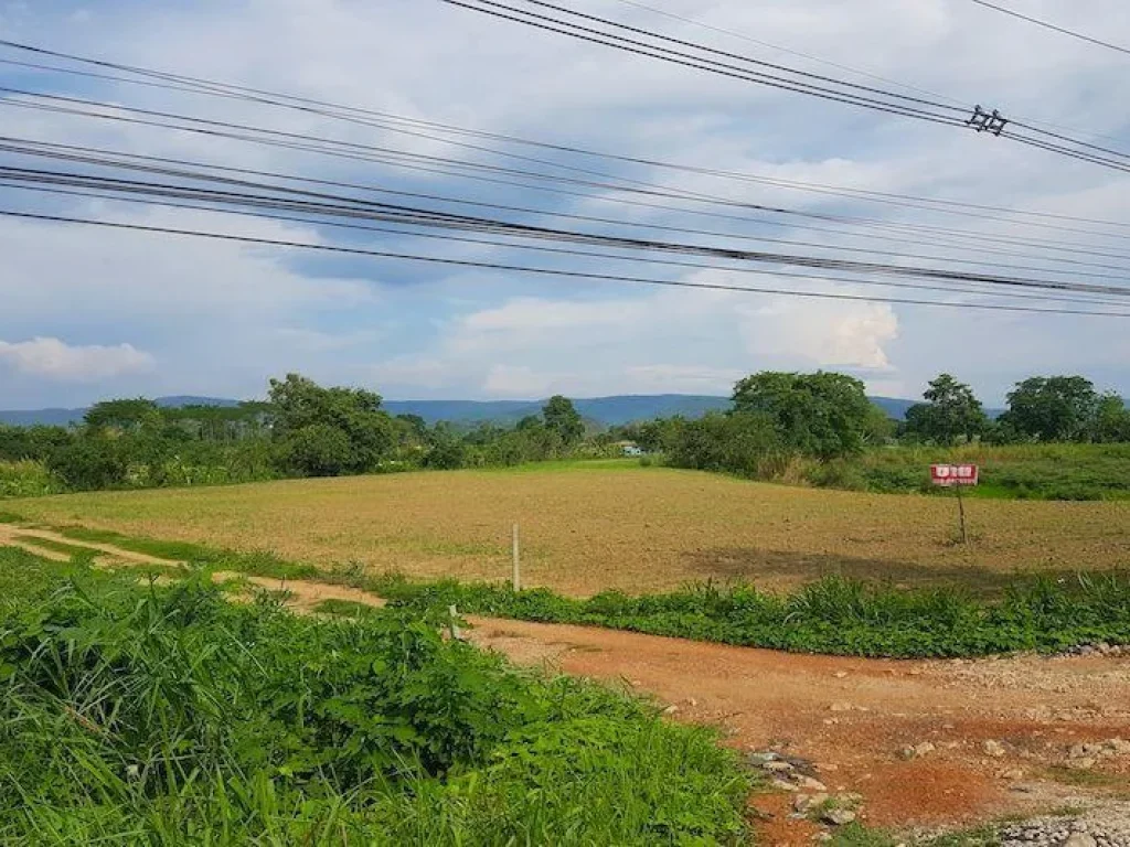 ขายที่ดิน 3 ไร่บนถนนพหลโยธิน เชียงราย Chiang Rai Land for sale6184