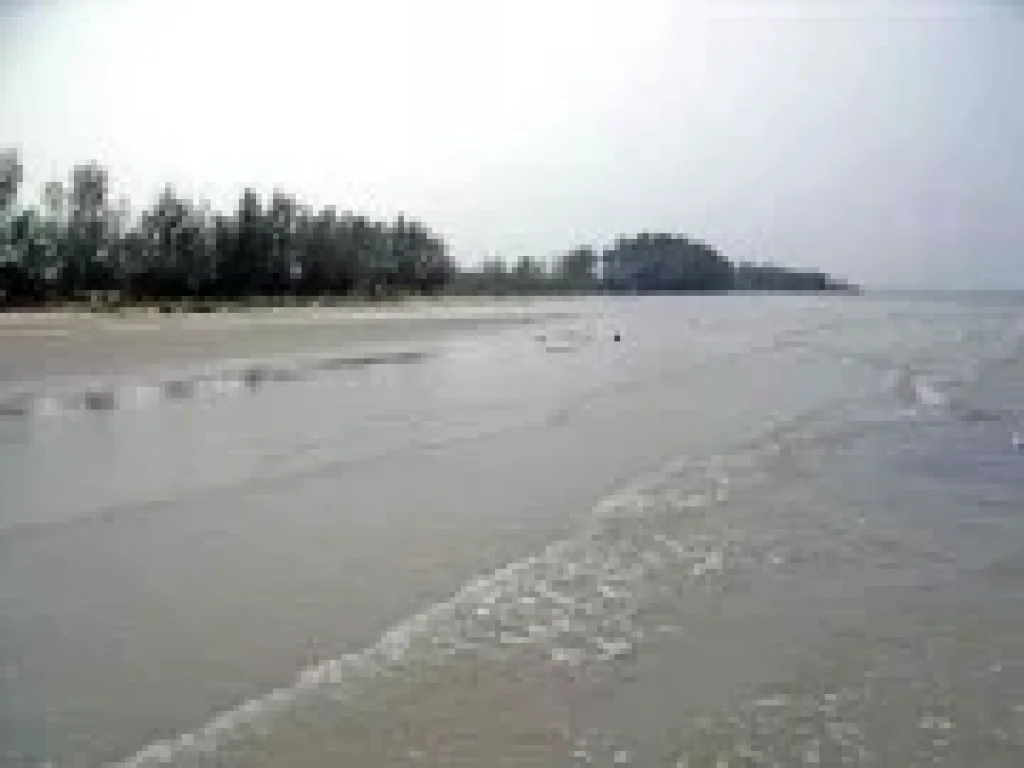 ขายที่ดินติดทะเล หาดบ้านเพ-สวนสน อากศดี หาดสวยมาก โฉนด 2 ไร่