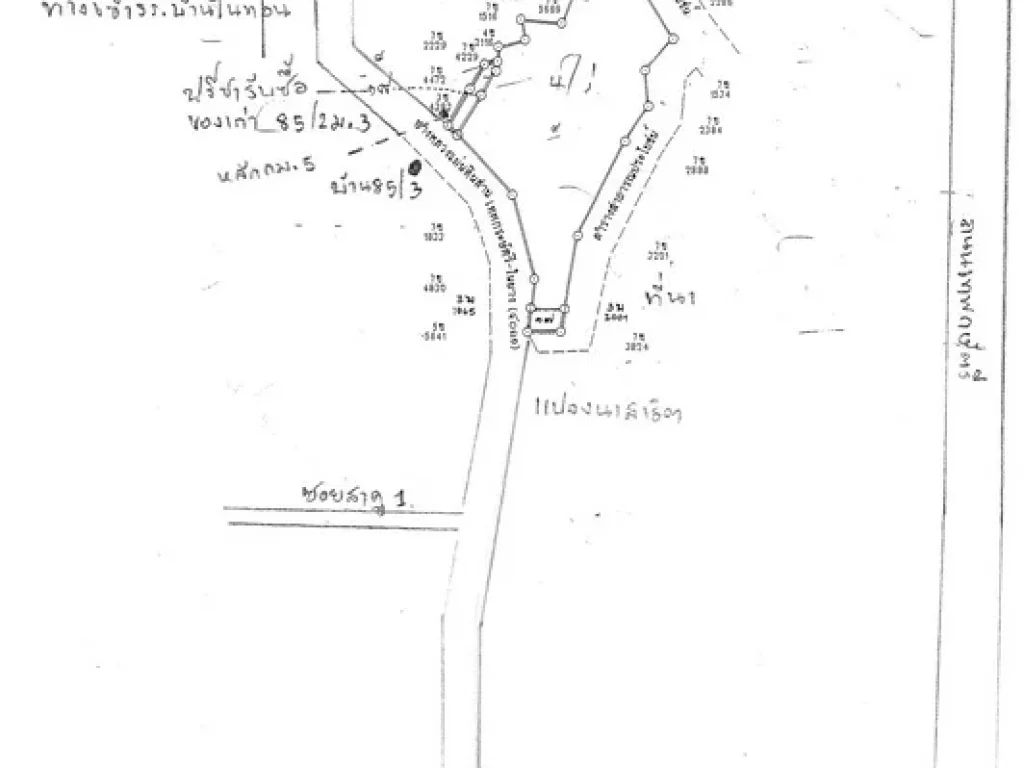 ขายที่ดินหน้าติดถนนทางหลวงแผ่นดินสายเทพกระษัตรีย์ - ในยาง กว้าง 85 เมตร เนื้อที่ 4 ไร่เศษ ขาย 2 ล้านบาทต่อไร่