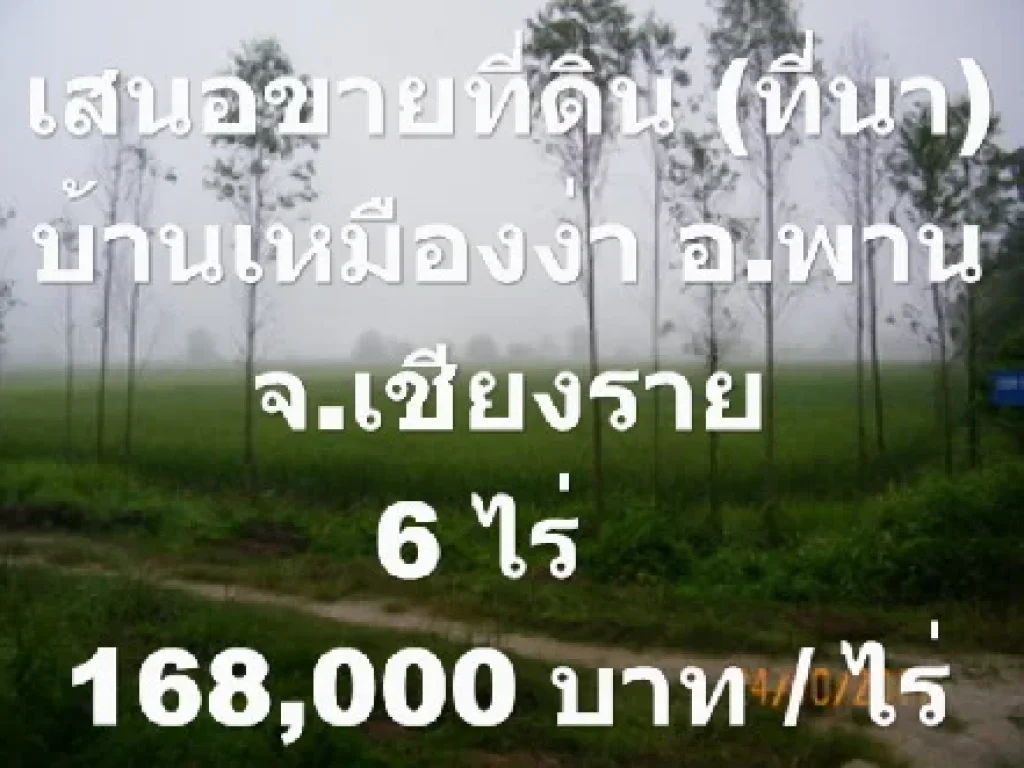 เสนอขายที่ดิน ที่นาเหมืองง่า อพาน จเชียงราย6 ไร่168000 บาทไร่