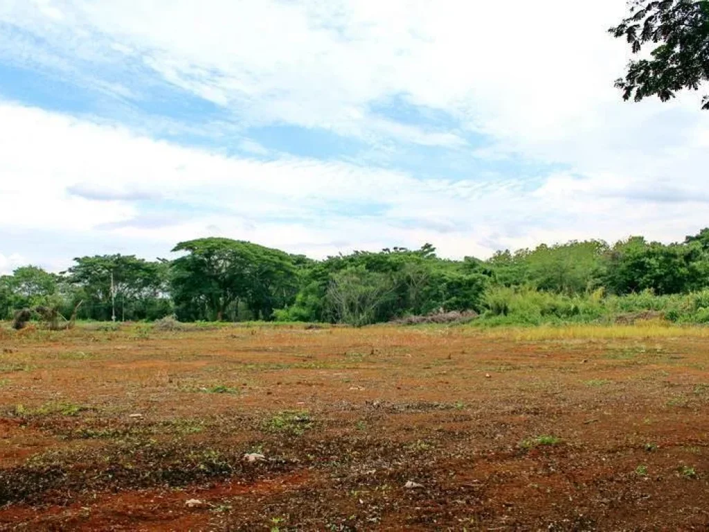 ขายที่ดินติดเมืองเชียงราย Chiang Rai Land for sale7047