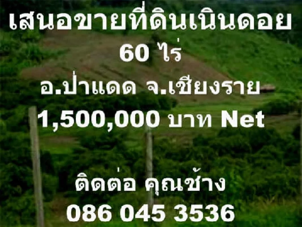 เสนอขายที่ดินเนินดอยอป่าแดด จเชียงราย60 ไร่่1500000 บาท net