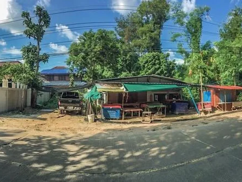 ขายที่ดิน88ตรวหลังโรงเรียนเตรียมอุดมอุบล