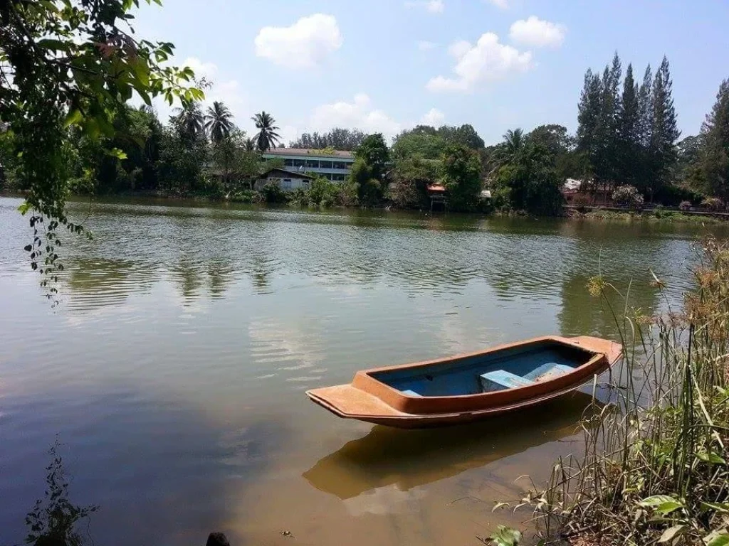 ประกาศขายที่ดิน ติดริมแม่น้ำตาปี