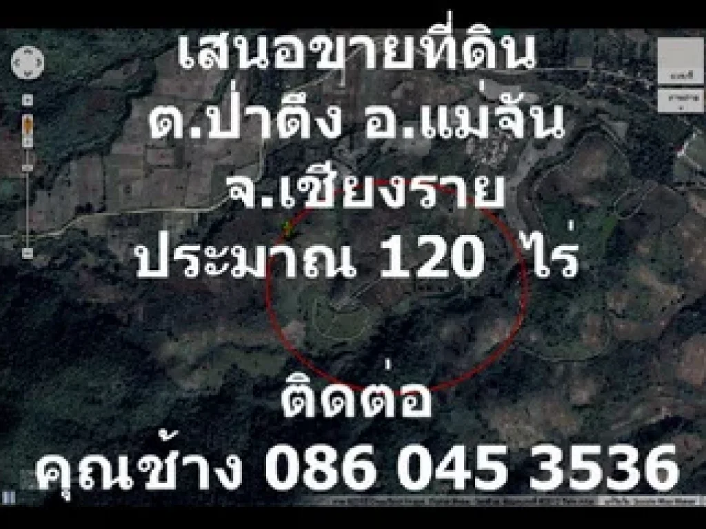 เสนอขายที่ดิน ตำบลป่าตึง อำเภอแม่จัน จังหวัดเชียงราย ประมาณ 120 ไร่