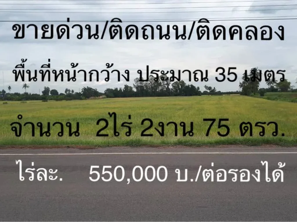 ขายที่นา ติดถนนแหล่งน้ำ