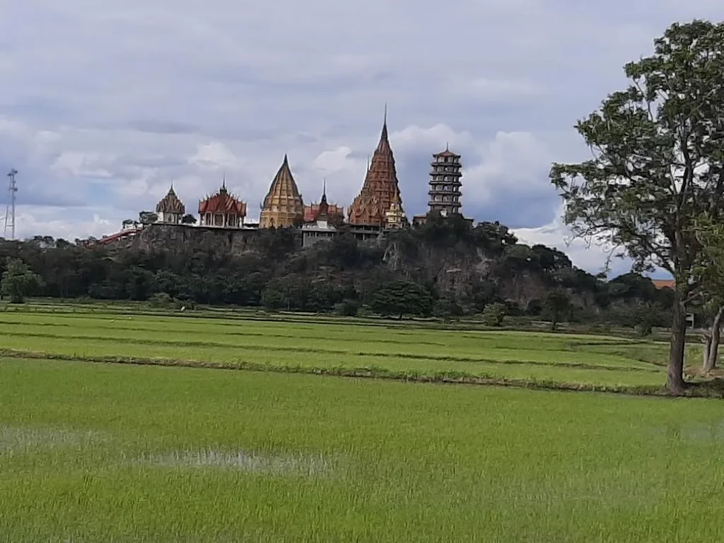 ขายที่ดิน 2 ไร่ ใกล้วัดถ้ำเสือ ร้านมีนาคาเฟ่ และ ร้านตำาลั่นทุ่ง