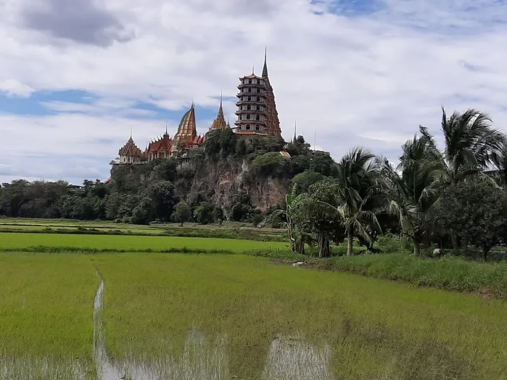 ขายที่ดิน 2 ไร่ ตม่วงชุม อท่าม่วง ใกล้ ร้านรักษ์คันนา วัดถ้ำเสือ