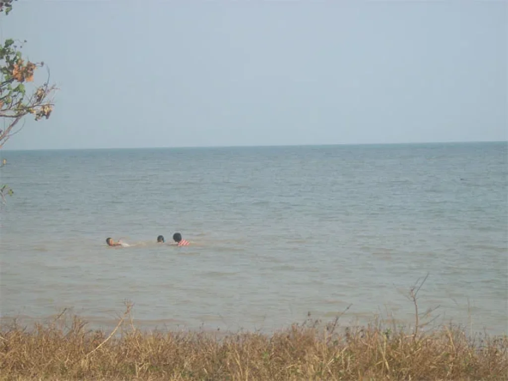 ขายถูกที่ดินติดทะเล เจ้าหลาว หาดส่วนตัว โฉนด เกือบ 1 ไร่ ยกแปลง 59 ล้าน