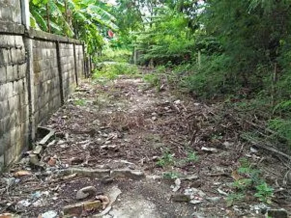 Large land 1 Rais for sale closed road BTS Sam rong