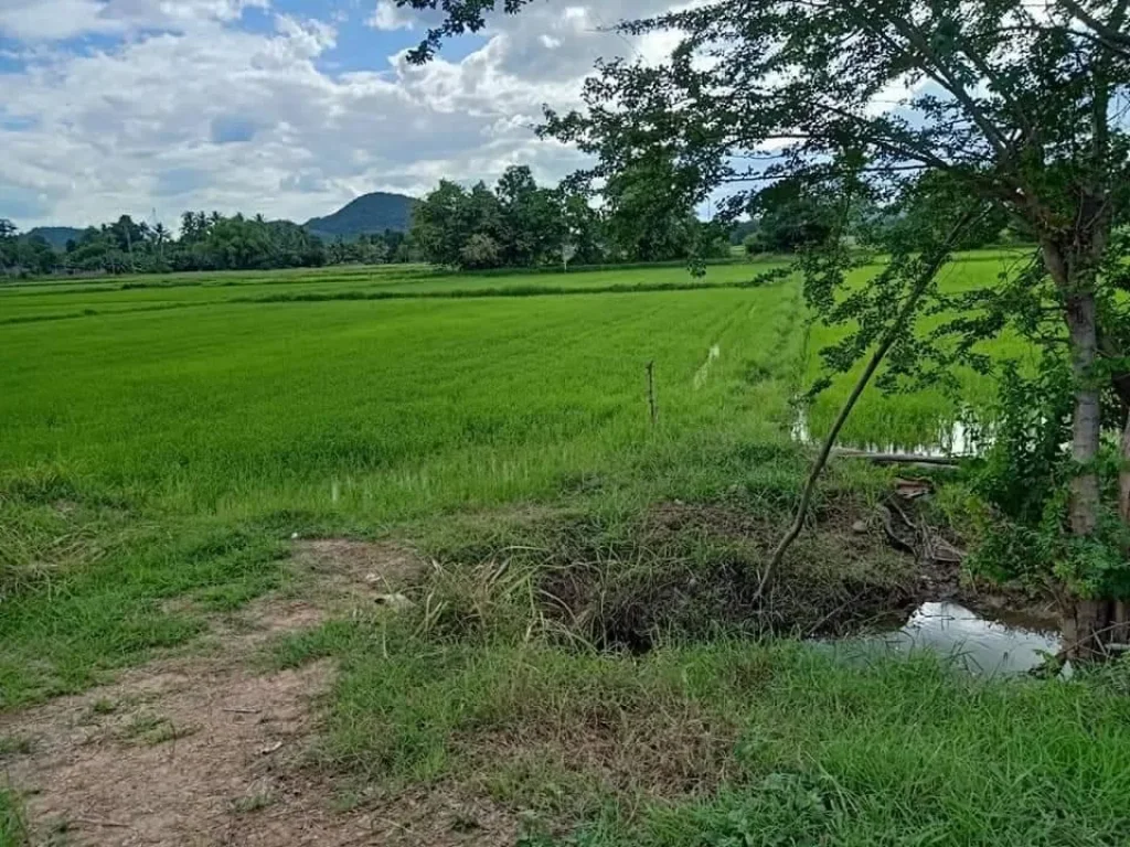 ขายที่นา กลางชุมชน ที่แปลงเล็กเหมาะอยู่อาศัย บ้านพักตากอากาศ ที่โล่งน้ำดีดินดีวิวเขาสวย2ไร่ๆละ3แสน3ตเขาชะงุ้มอโพธารามจราชบุรี