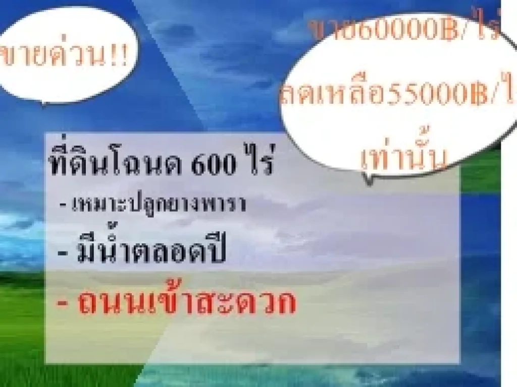 เจ้าของต้องการ ขายด่วนที่ดิน โฉนด 600ไร่ ที่ราบ ที่ดินเหมาะปลูกยางพารา