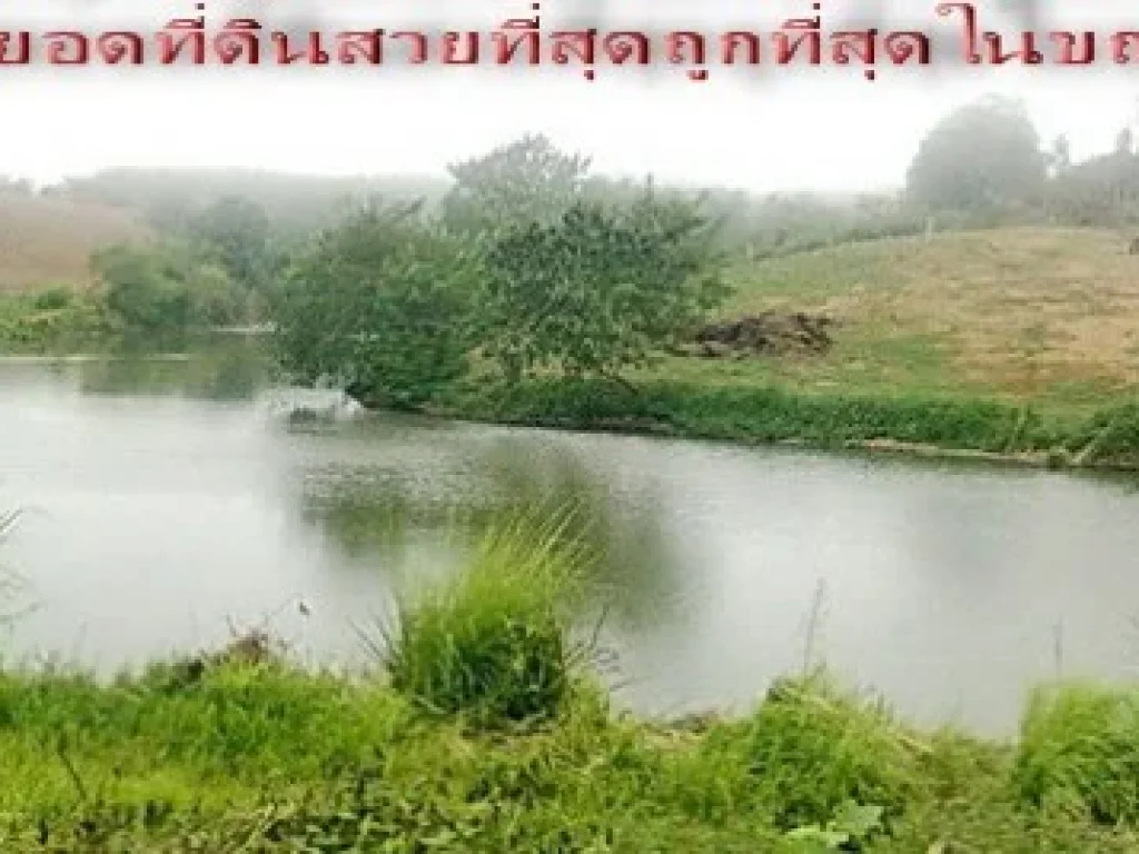 ที่ดินสวยมากๆพร้อมต้นไม้ยืนต้น ไม้ผล หน้าน้ำหลังภูเขา ไร้ปัญหาที่ดิน ภบท5 มี 2 ไร่เท่านั้น อยากขายไร่ละ 399000เท่านั้น