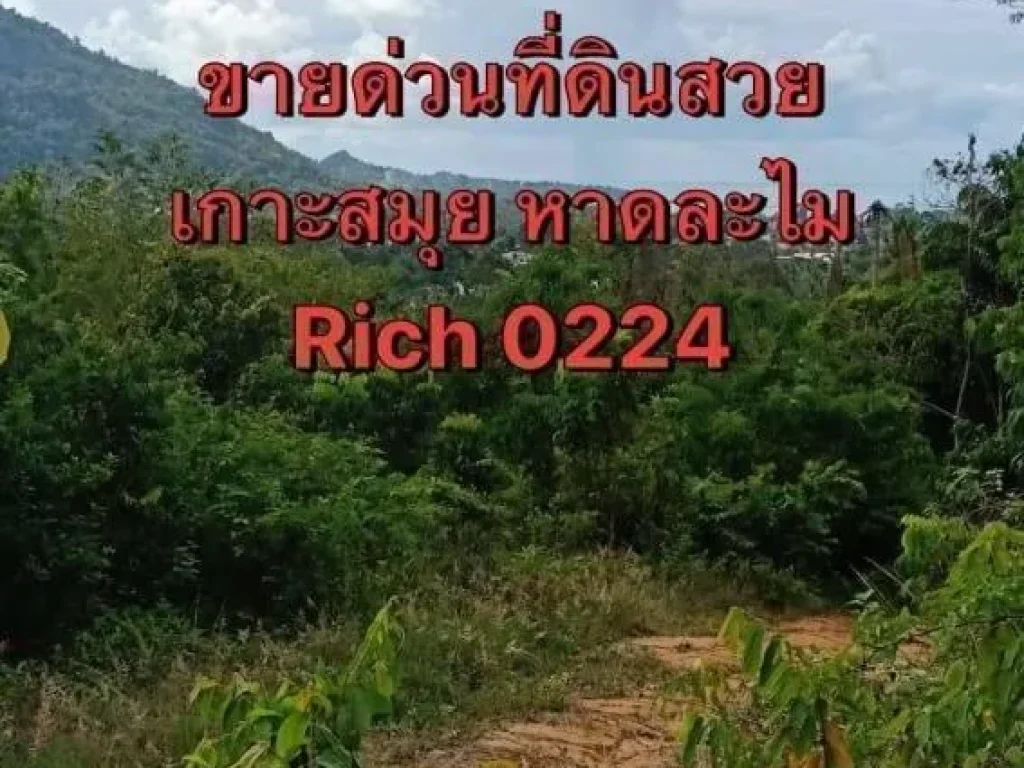 ขายที่ดิน สวยเกาะสมุย Rich 0224พิกัด หาดละไม ห่างจากถนนหลักประมาน 1 กิโล