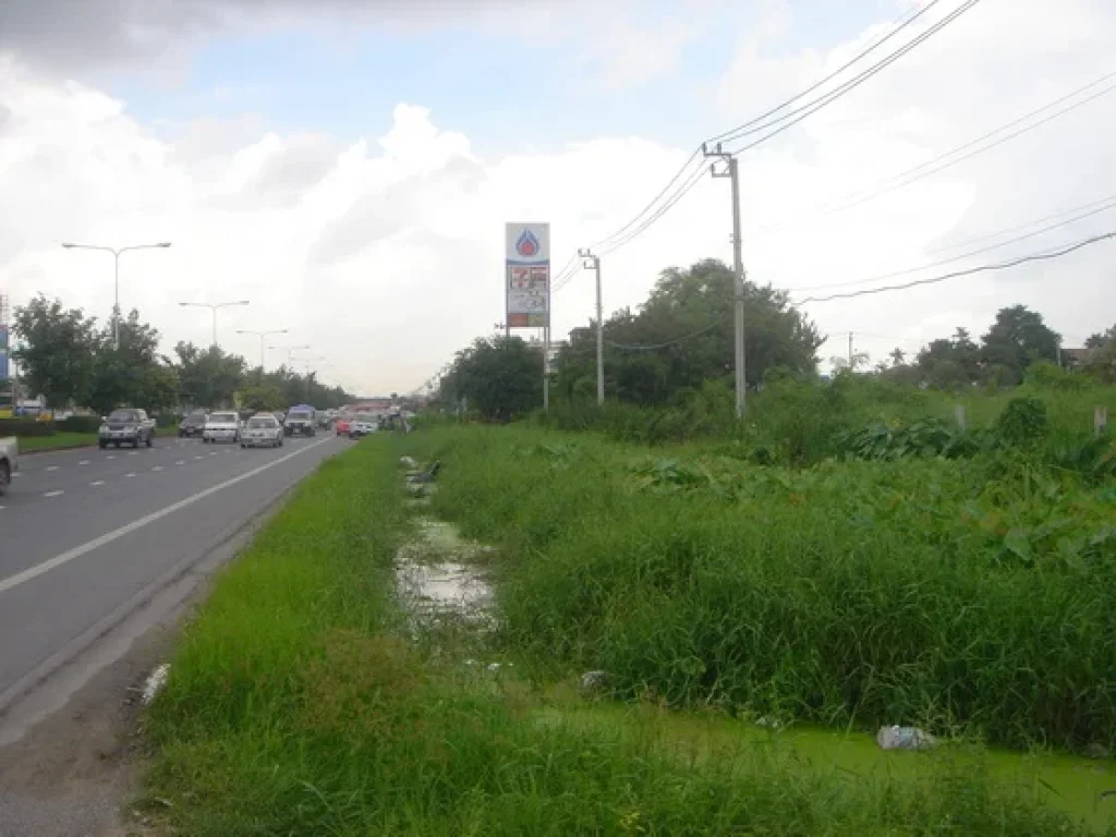 ขายที่ดิน 14-3-54 ไร่ ติดถนนราชพฤกษ์ใกล้เดอะเซอเคิล