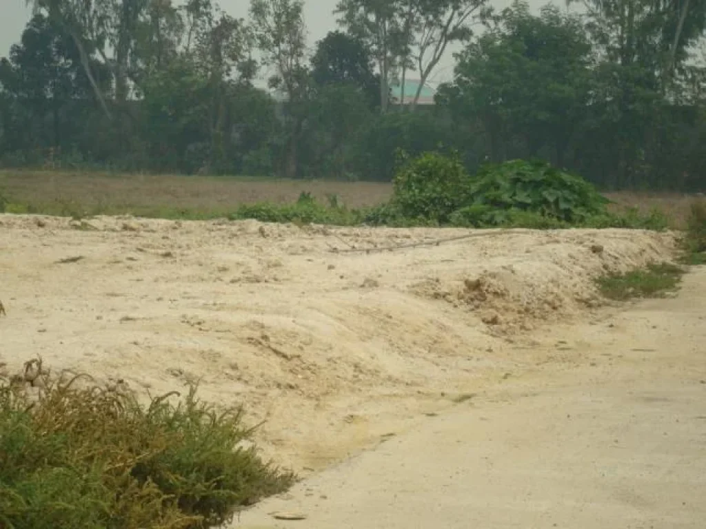 ขายที่ดินใกล้กุลพันธ์ 15 ถมแล้ว บรรยากาศดี ใกล้แยกศาลเด็ก 5 นาที เชียงใหม่