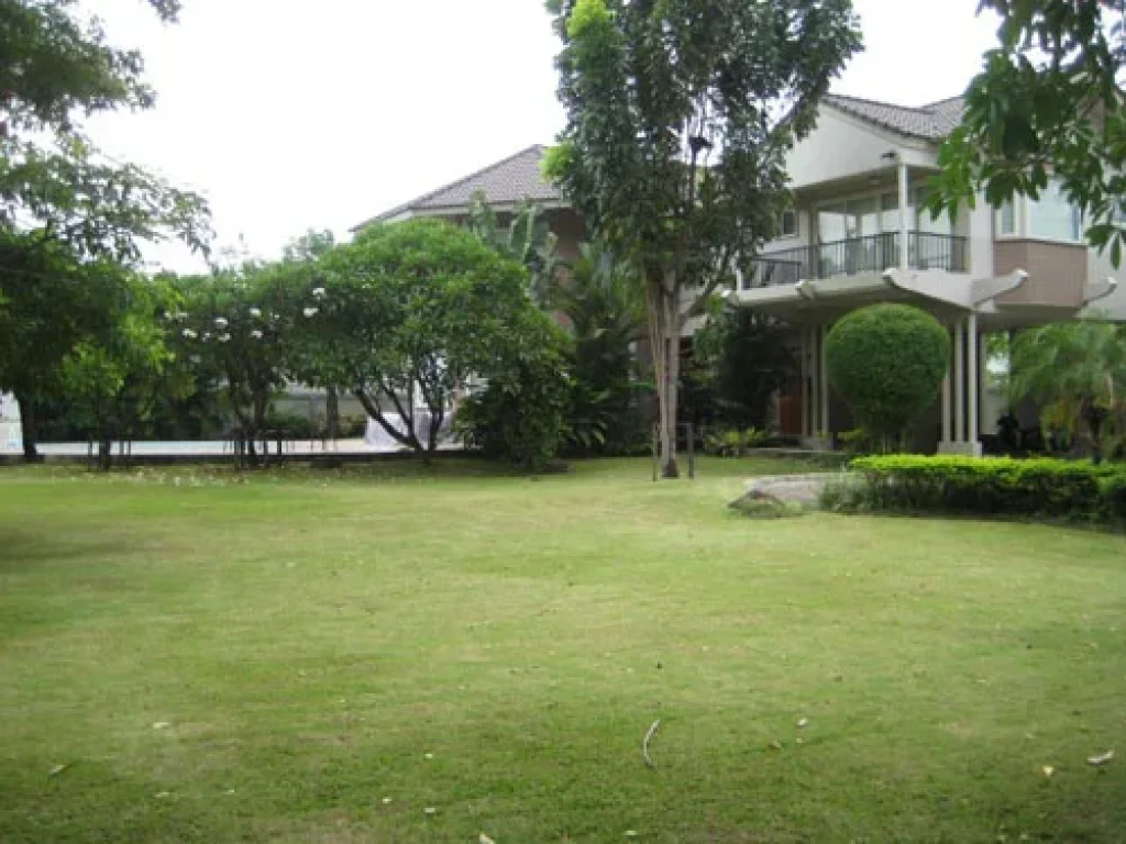 Nice house for rent at Sukhumvit