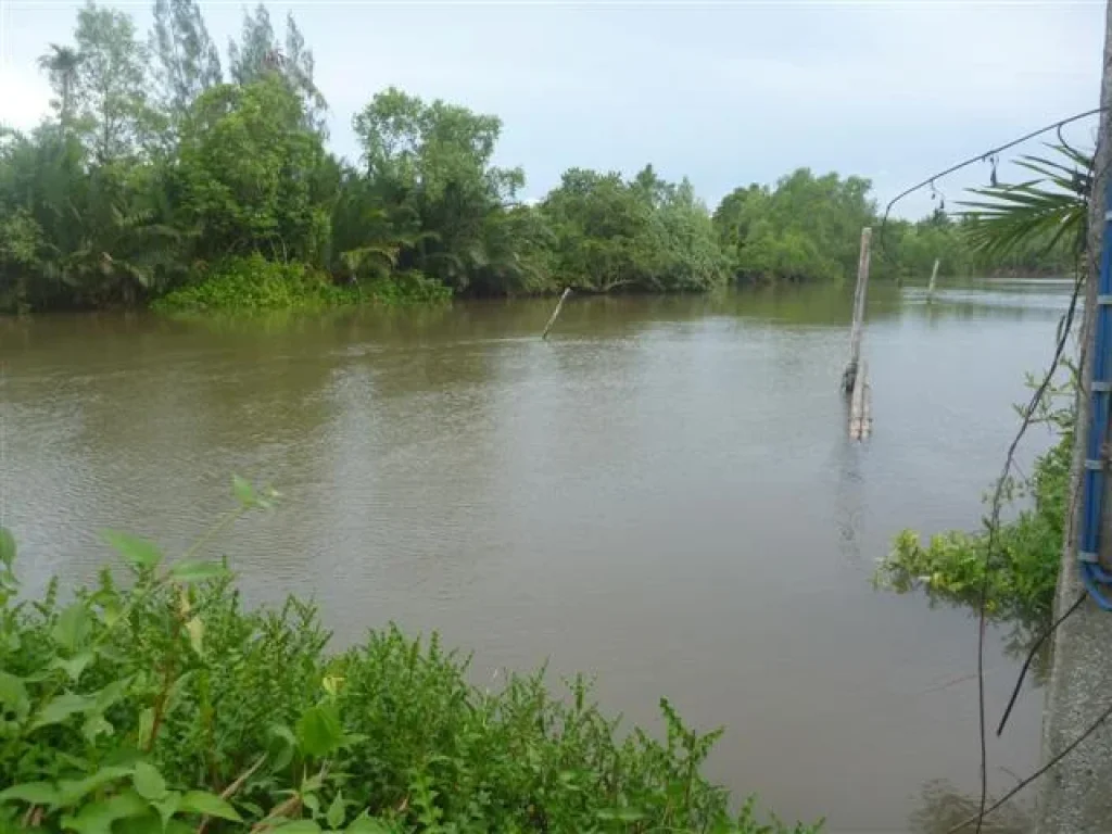 ที่สวนมะพร้าว ติดคลองแม่กลอง