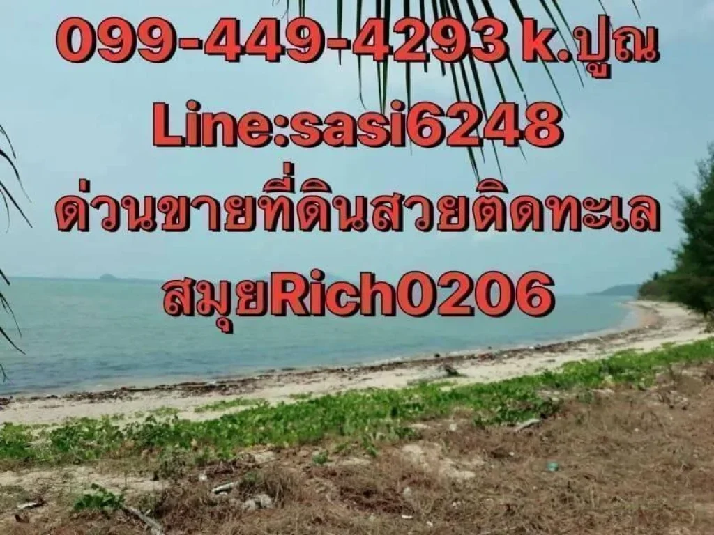 ด่วนขายที่ดินสวย สุราษฎร์ธานีติดทะเล สมุย Rich 0206 ใกล้โรงแรม คามาลายา