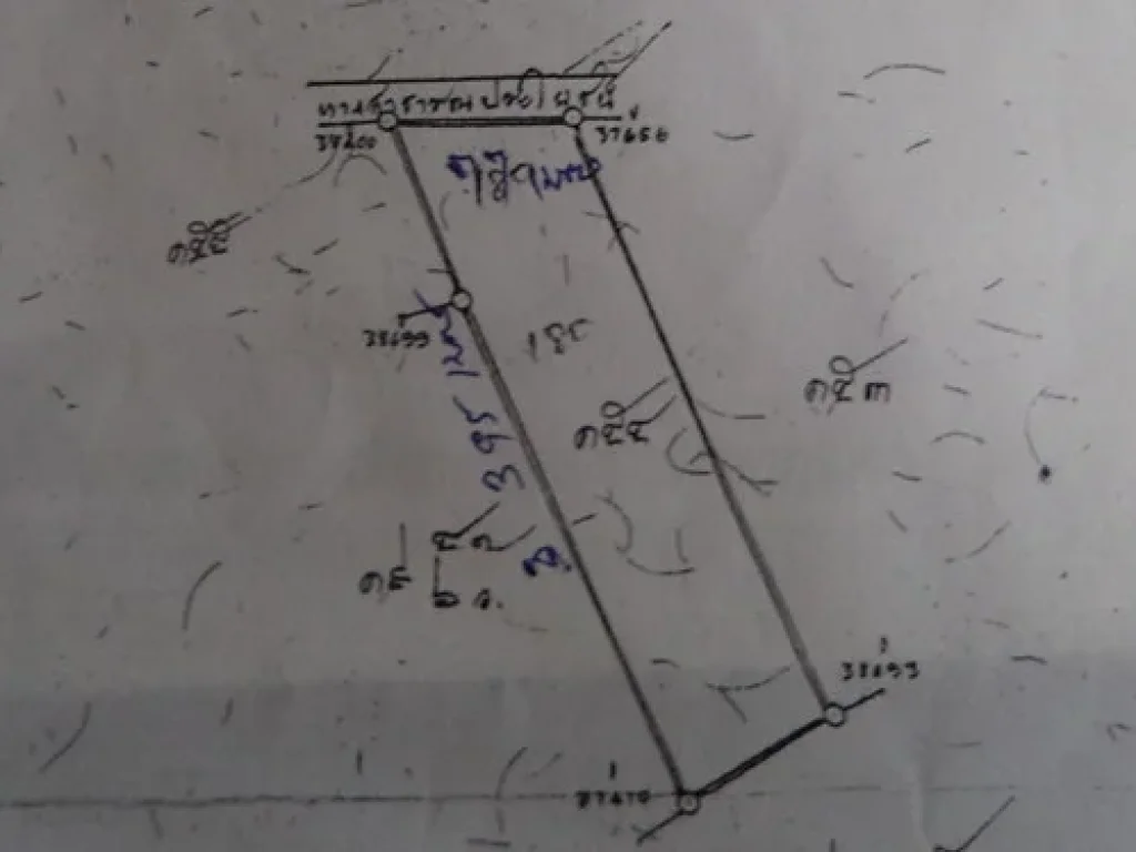 ขายที่ดินพื้นที่เศรษฐกิจ