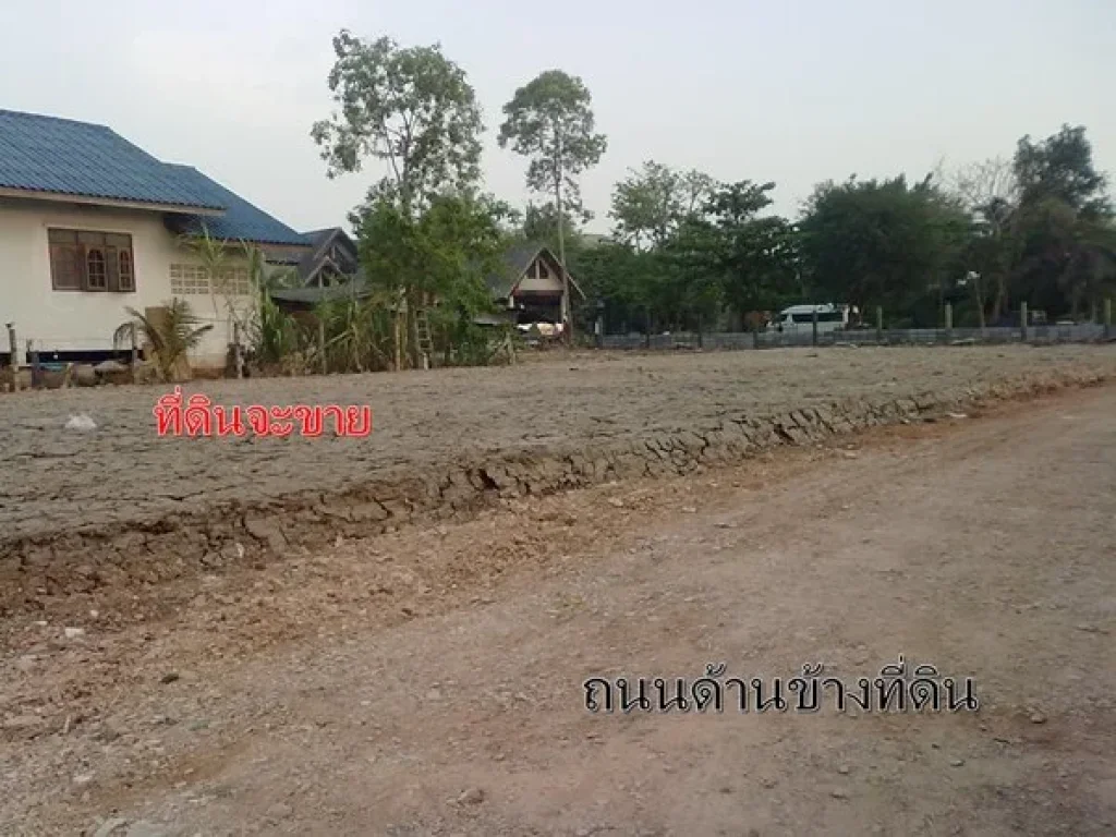 ขายที่ดิน 200 ตรว อยู่สุขาภิบาล 5 ซอยจตุโชติ วัชรพล ออเงิน