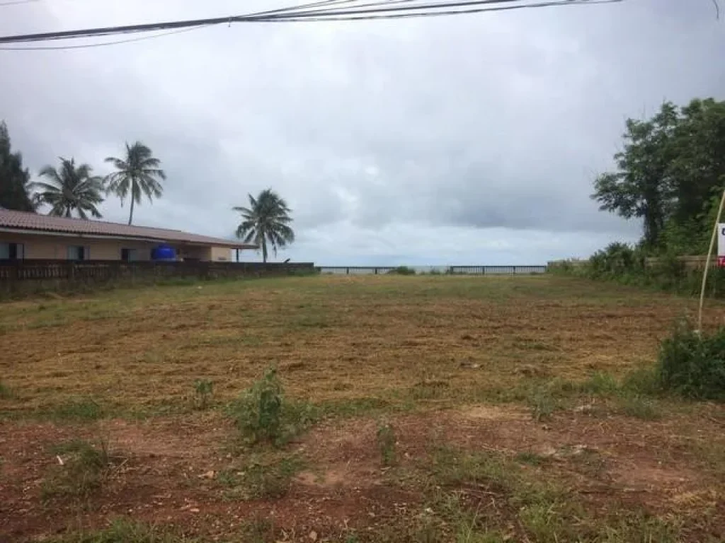 ขายที่ดินเนื้อที่ 264 ตรวา ติดหาดสะพลี