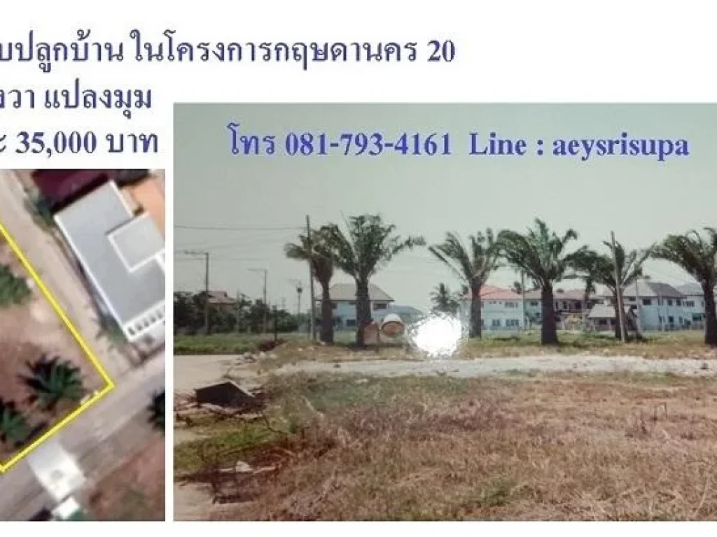 ที่ดินจัดสรร หมู่บ้านกฤษดานคร20 กฤษดานคร ปิ่นเกล้า 197 ตารางวา