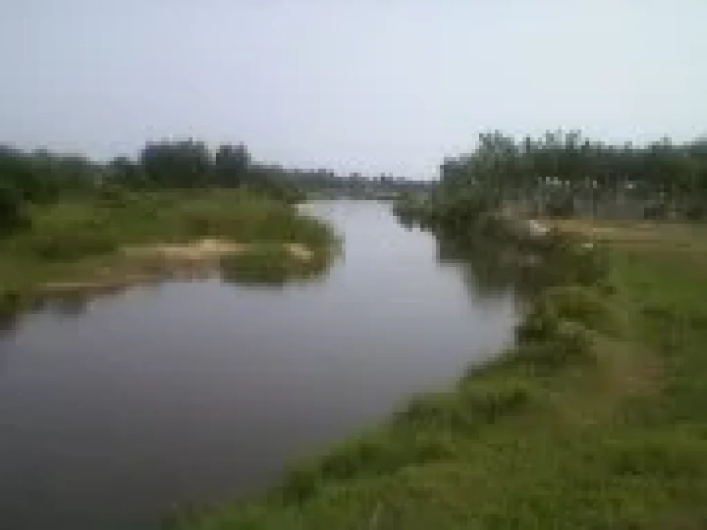 ขายที่ดินติดโครงการบ้านชาวเบลเยี่ยม ใกล้หาดแม่พิมพ์ ท้ายที่ติดคลองธรรมชาติ น้ำไฟ พร้อม โฉนด 15 ไร่