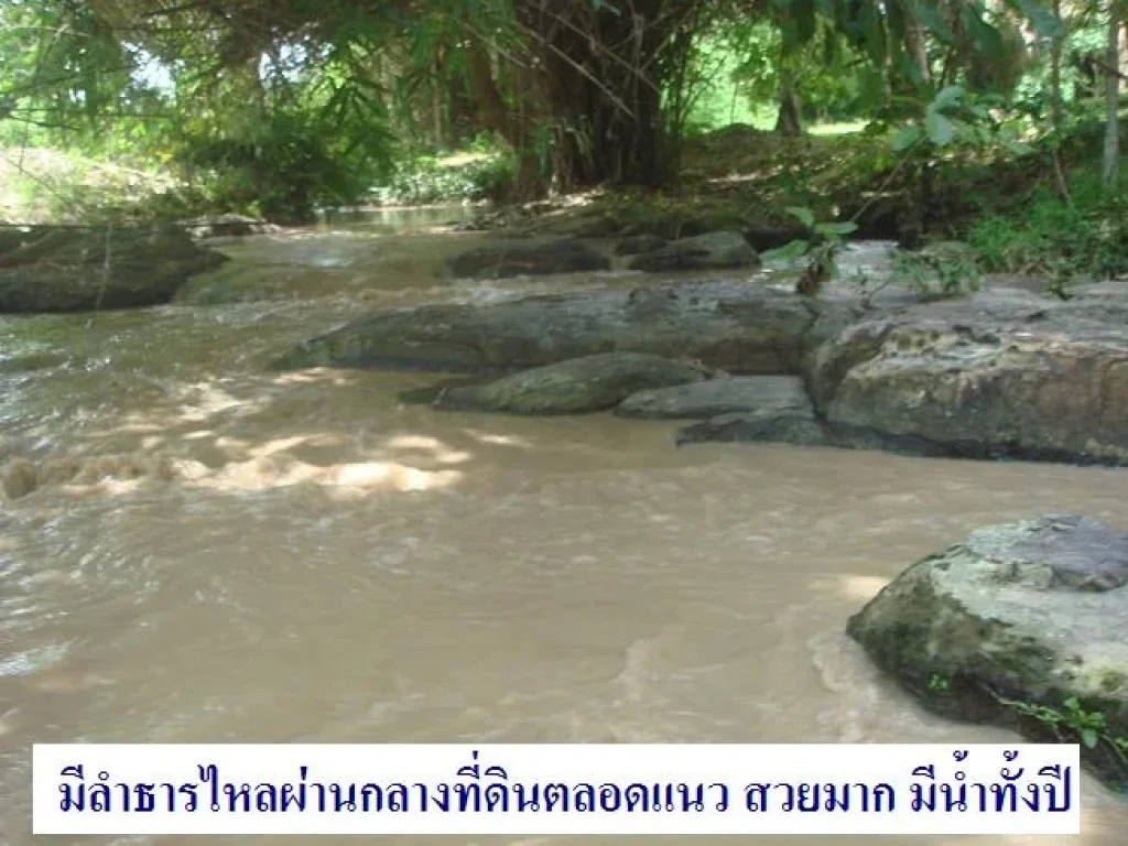 ขายโครงการสวนเกษตรผสมผสาน150ไร่ มีลำธารไหลผ่านกลางที่ดินสวยมาก มีน้ำ-ไฟฟ้า