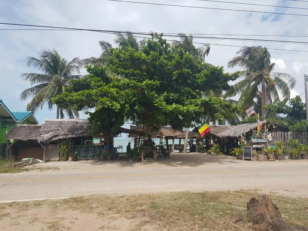 ขายที่ดินทำเลทองหายากมาก ติดหาดแขวงเภา นครศรีธรรมราช เหมาะสำหรับทำรีสอร์ท จำนวน 2 แปลง เนื้อที่รวม 2 ไร่ 333 ตรวา