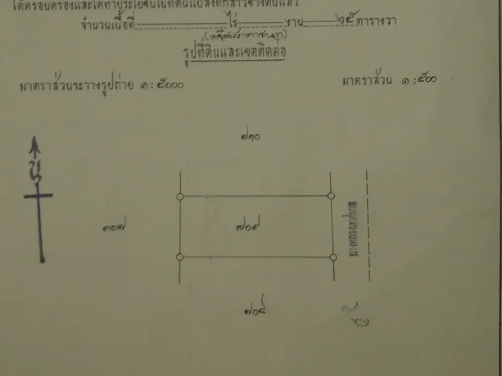  ขายที่ดินทำเลทอง ข้างBig C ซอยอู่ณรงค์วิทย์ ราคาถูก เจ้าของขายเองค่ะ 