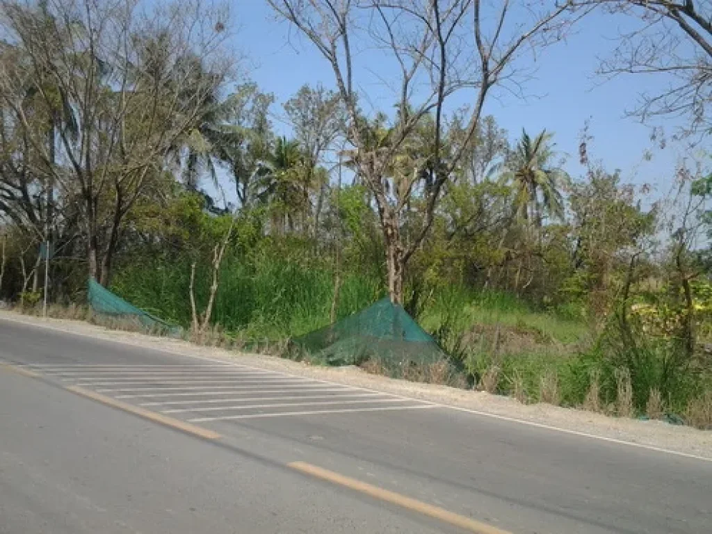 ขายที่ดิน 3-0-84 ไร่ ติดถนนสายพระเทพตัดใหม่