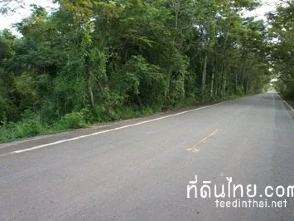 ขายที่ดินตราด  ที่ดินไทย ขายที่ดินตราด โฉนด 135 ไร่ ติดถนนลาดยาง และ ถนนซอยพื้นที่เป็นที่ราบสวย เหมาะสำหรับ ปลูกปาล์มน้ำมัน