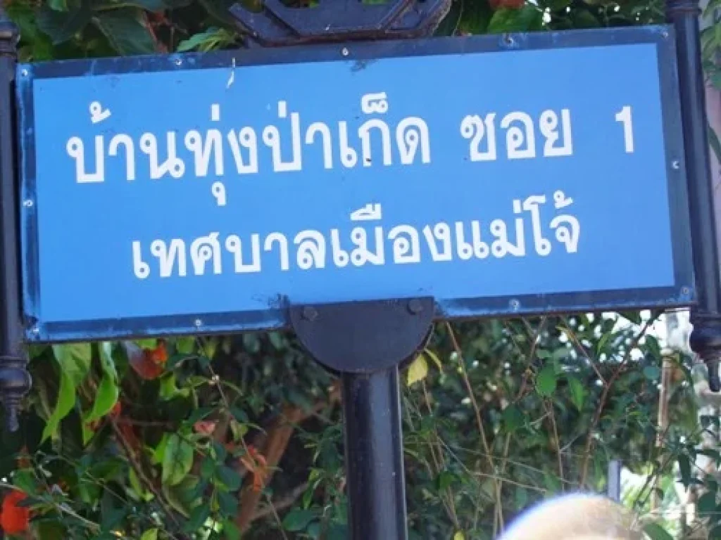 ขายที่ดินถมแล้ว 338 ตรวเหมาะที่จะสร้างบ้าน หรือทำหอพัก หน้ามแม่โจ้ เชียงใหม่