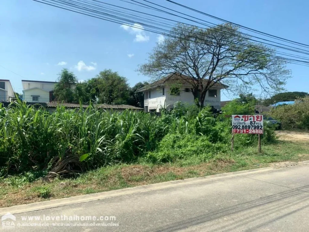 ขายที่ดินเพชรเกษม79 แยก6ใกล้สำนักงานเขตหนองแขม ปากซอยมีตลาดนัดที่ดินรูปสี่เหลี่ยมผืนผ้าพื้นที่87ตรว